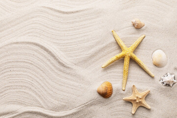 Fototapeta na wymiar Seashells on the sand with copy space, summer background