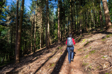 Obraz premium Felsenweg im Schwarzwald bei Ottenhöfen.