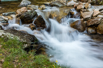 Fototapeta na wymiar mountain stream, in the spring