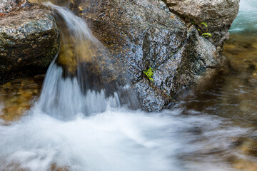 mountain stream, in the spring