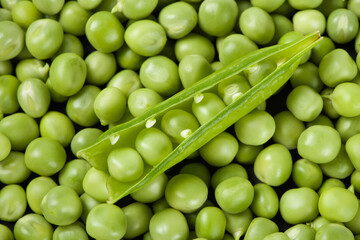 fresh green peas background texture top view