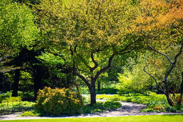 wunderschöner Baum im Westpark