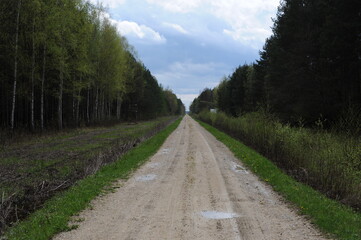 Straight dirt road through the thick wild forest in Europe with beautiful clouds and fresh green grass and leaves on trees