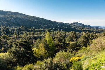 Fototapeta na wymiar Hiking trail in the Barranca area in Navacerrada, Madrid, Spain