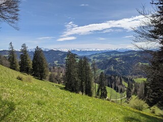 trail run on the Hoernli hill in the zurich oberland switzerland above fischenthal. Nice view of the hills and forests