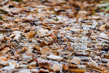 Close up of white frost covered wood chips in winter