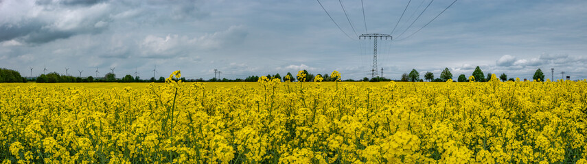 Panoramic view over beautiful farm landscape with rasp yellow at blossom field, wind turbines to produce green energy in Germany, Spring, blue sky and sunny day.