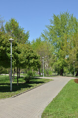 View of the city square. Park alley with green grass and trees. Spring in the city park.