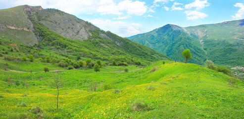 Fototapeta na wymiar Beautiful fields in the mountains. The village of Gryzdakhnya. Guba region. Azerbaijan.