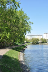 View of the pond embankment and trees. Spring panorama of a city park with a pond.