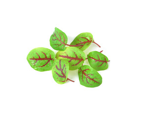 red sorrel leaves isolated on white background