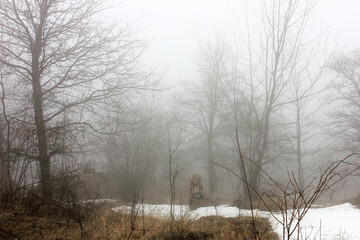 A tourist is resting in the winter foggy forest.