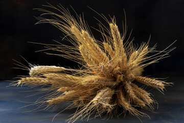 A sheaf of wheat ears on a black wooden background.