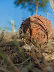 Season ball lying on the ground. 