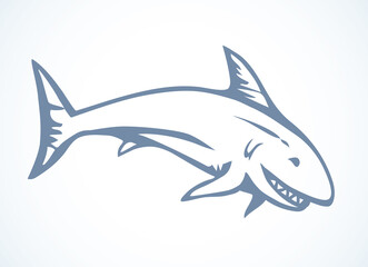 Great gray shark. Vector drawing