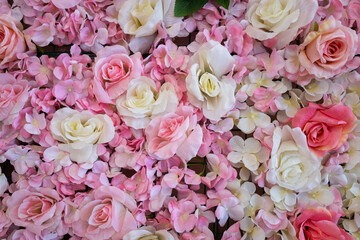 Roses background.
