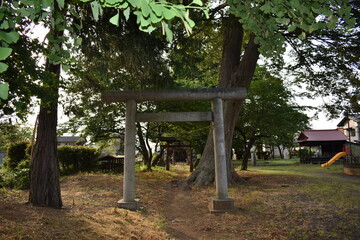 日本　埼玉　岡泉鷲神社　5月の風景