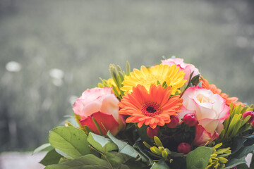 Fototapeta na wymiar Greetings, anniversary or Mother’s Day concept: Close up of colorful fresh spring flower bouquet with gerbera and pink roses
