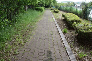 日本　埼玉　高岩公園　5月の風景