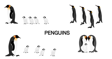 装飾素材「ペンギン」