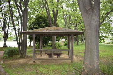 Fototapeta na wymiar 日本　埼玉　高岩公園　5月の風景