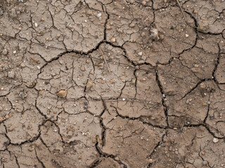 Texture of dry and cracked mud