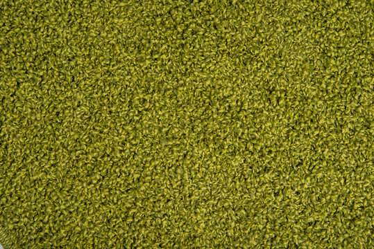 Seamless close up of monochrome green carpet texture background