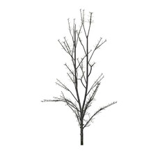 Fototapeta premium Mountain Maple tree in winter - isolated on white background - 3D Illustration