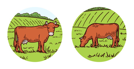 Set of cows. Farm animal. Hand drawn sketch. Vintage style. Color vector illustration. Rural landscape. Cows graze in the meadow.