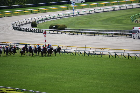 東京競馬場 の画像 72 件の Stock 写真 ベクターおよびビデオ Adobe Stock