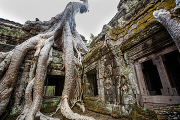 Classical Angkor wat complex in Siem Reap, Cambodia