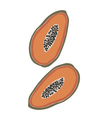 Abstract papaya fruit vector, summer fruit illustration, boho papaya vector