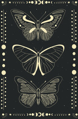 Obraz na płótnie Canvas Vector illustration, hand-drawn butterflies. Abstract mystical sign.Sky patterns in the style of old engravings. Vector set of sacred geometric and natural symbols on a black background. Abstract coll