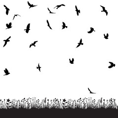  isolated, birds fly black silhouette flock