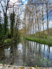 Rivière Auxance au milieu des bois de Quincay
