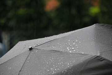 雨に濡れた撥水加工の黒い雨傘