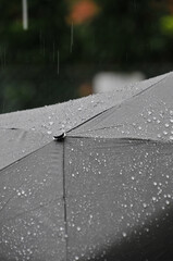雨に濡れた撥水加工の黒い雨傘
