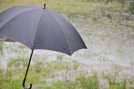 雨に濡れた撥水加工の黒い雨傘