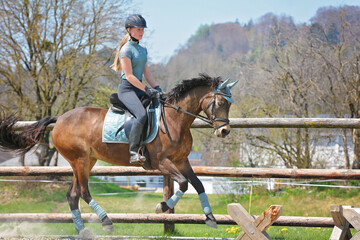 Reiterin im Galopp (Training)