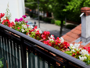 balcony with a beautiful red and white every in the windowsill of the house of an apartment in the city