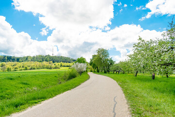 Fototapeta na wymiar Am Fuße des Hesselbergs befindet sich eine Streuobstwiese bei Ehingen. Im Frühjahr stehen die Bäume in voller Blüte. Der Hesselberg ist eine Erhebung in Mittelfranken (Bayern Deutschland).