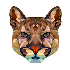 Big cat puma polygonal portrait