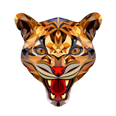 Jaguar polygonal portrait