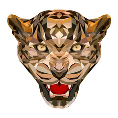 Leopard polygonal portrait