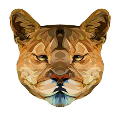 Puma polygonal portrait