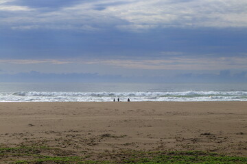 入野海岸　打ち寄せる波　早春（高知県　黒潮町）