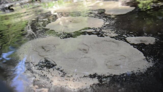 Abstract view of drinkable erupting fresh water source in nature. Natural crystal clear water comes from underground and makes the sand boil. Boiling sand pure water stream in nature