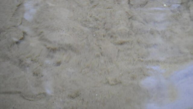 Abstract view of drinkable erupting fresh water source in nature. Natural crystal clear water comes from underground and makes the sand boil. Boiling sand pure water stream in nature