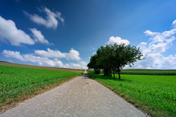 Eine schmale Straße in landwirtschaftlich geprägte Kulturlandschaft.