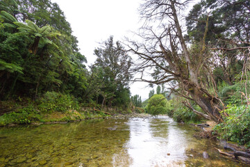 beautiful nature of new zealand